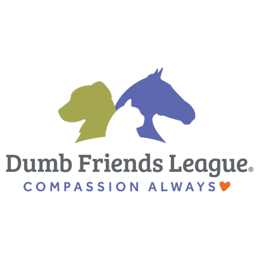 Dog Toys and How to Use Them - Dumb Friends League